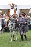 32_IMG_2 (6)